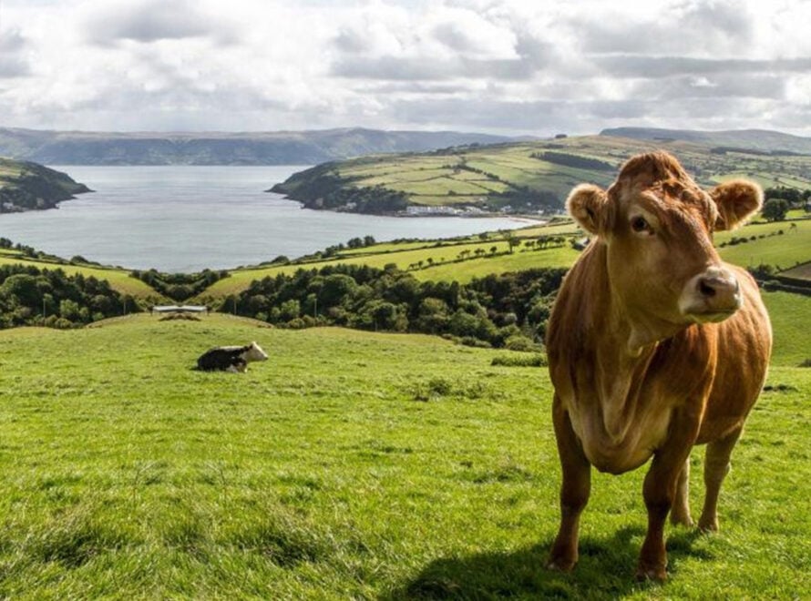 Quality Assurance in Wholesale Distribution